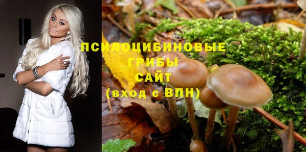 ECSTASY Краснослободск